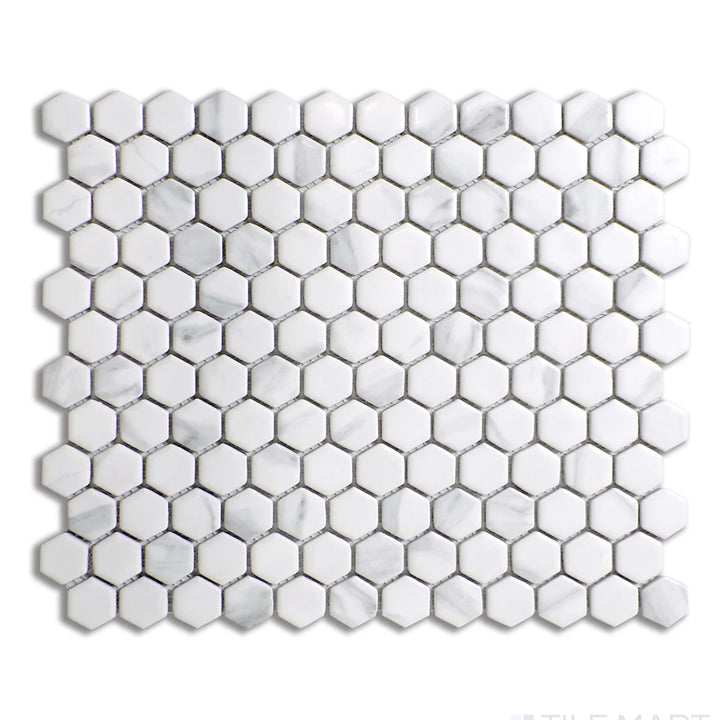 Porcelain Glazed Hex Mosaics