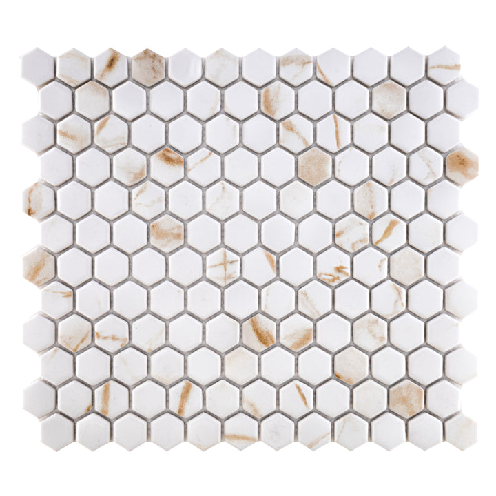 Porcelain Glazed Hex Mosaics