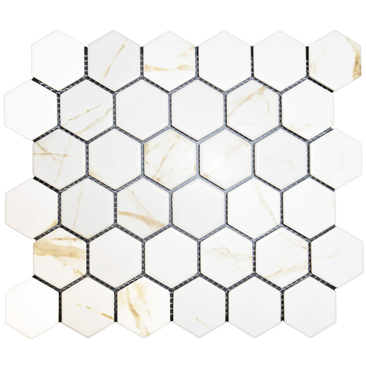 Porcelain Glazed Hex Mosaics