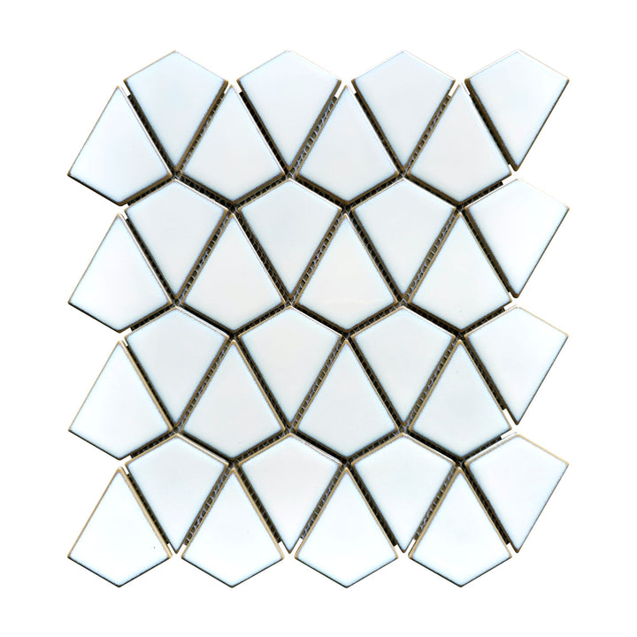 Shapes Dragonscale Mosaics