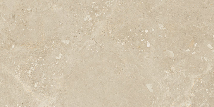 Landscape Pavers Moondance