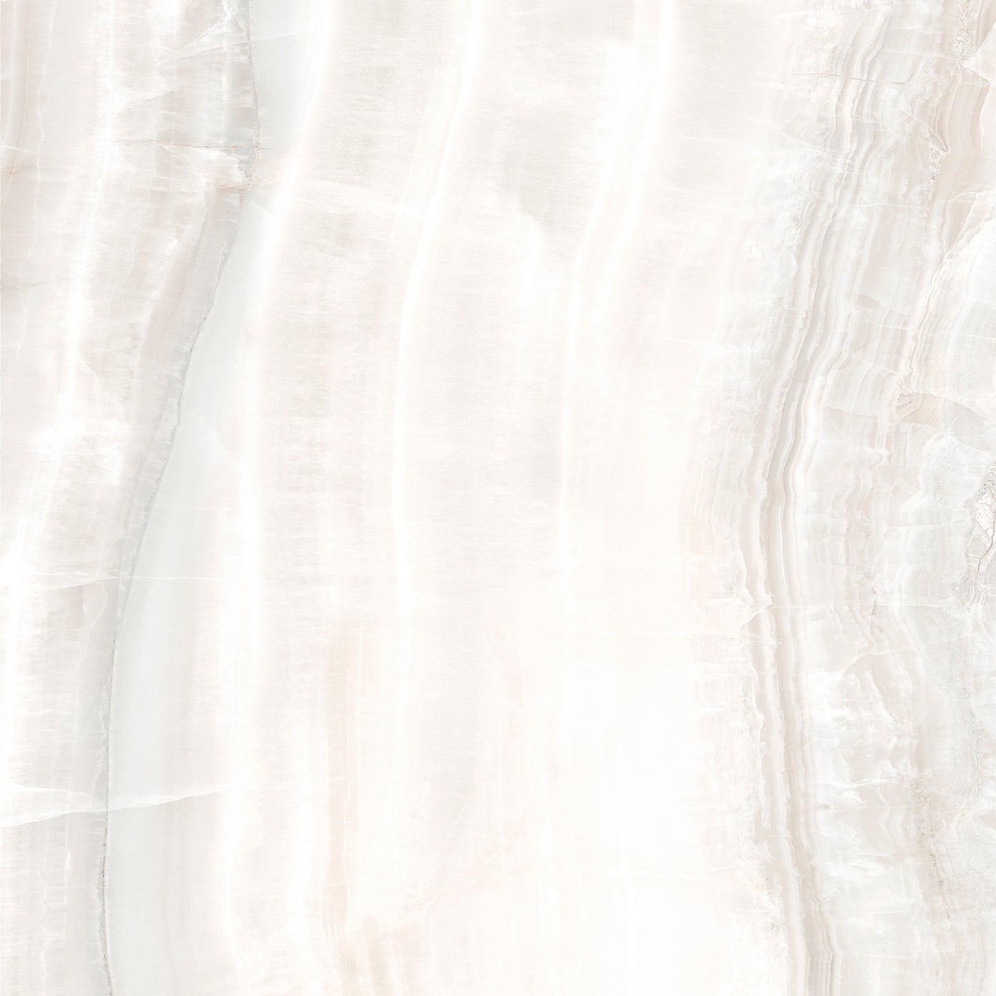 Venus 3D Veincut LFT