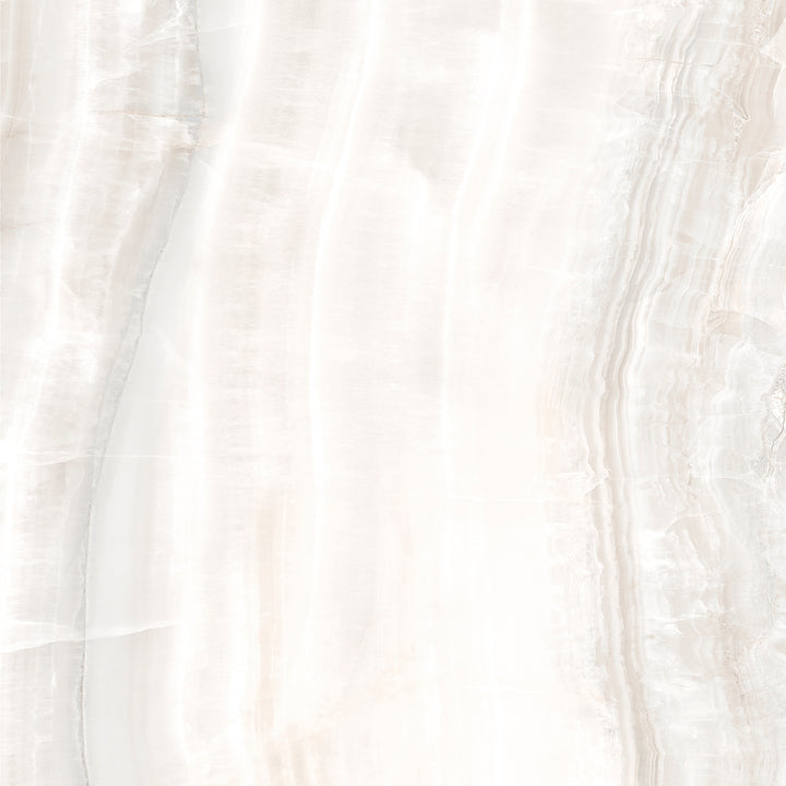 Venus 3D Veincut LFT