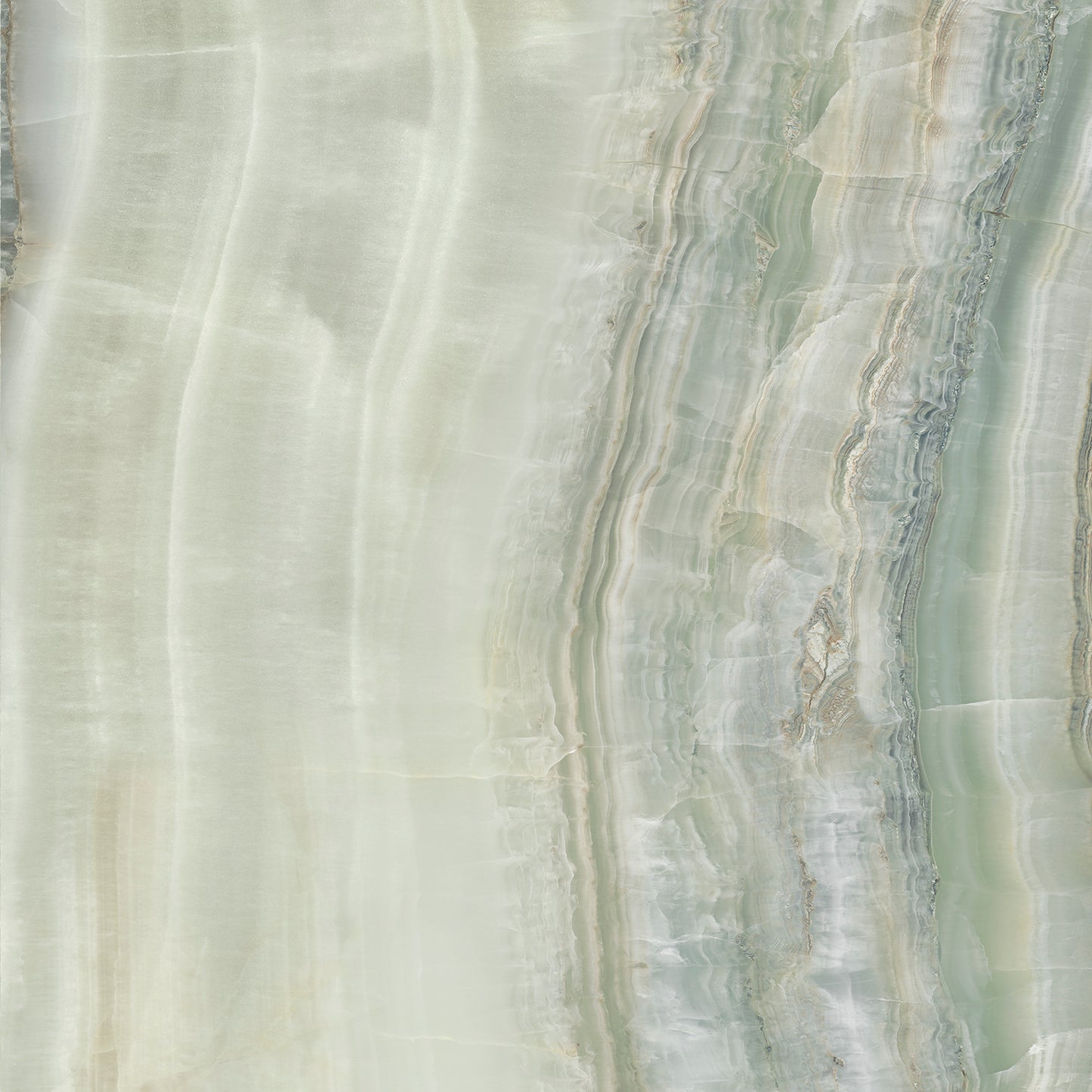 Venus 3D Veincut LFT