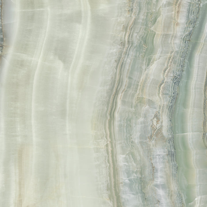 Venus 3D Veincut LFT